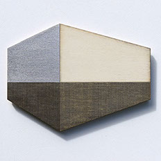 wall,sculpture,gilded,plywood,Susan Laughton,abstract